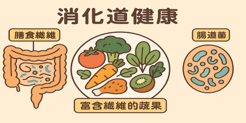 膳食纖維常被忽略，但其對腸道健康的影響深遠。纖維不只是幫助排便，更與免疫力、情緒、大腦與代謝息息相關。現代人普遍攝取不足，導致便祕、腸躁症、甚至慢性發炎。透過正確選擇與攝取足量膳食纖維，可優化腸道菌叢，為全身健康打下基礎。